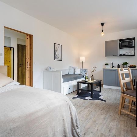Vlevo Dole Koko Apartment By Sprava Ubytka Rokytnice nad Jizerou Exteriér fotografie